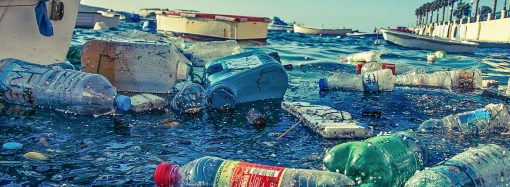 Litter Day – Mediterranean Cleanup Campaign