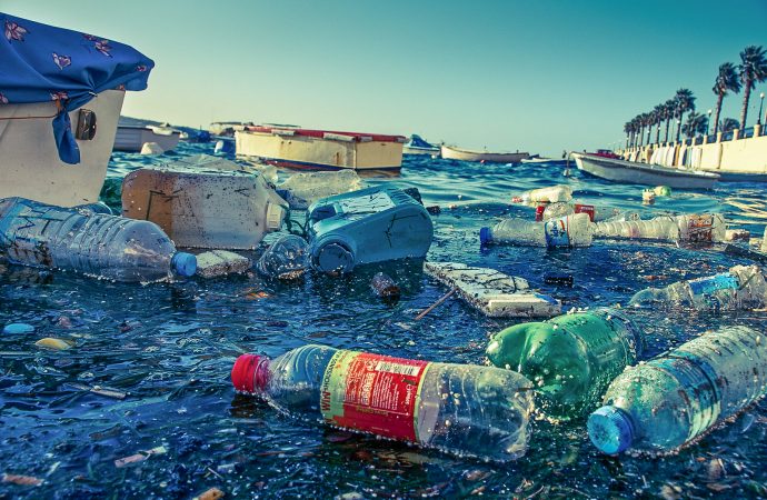Litter Day – Mediterranean Cleanup Campaign